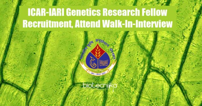 IARI Fellow Job