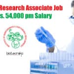 IBSD Research Jobs