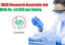 IBSD Research Jobs