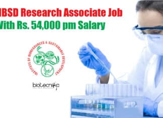 IBSD Research Jobs