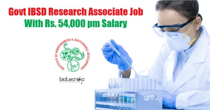 IBSD Research Jobs