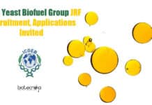 ICGEB Yeast Biofuel Group JRF Recruitment, Applications Invited ICGEB JRF Job Available