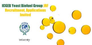 ICGEB JRF Job Available