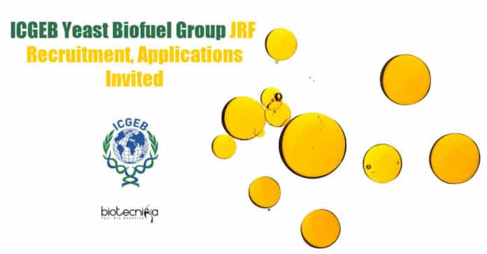 ICGEB JRF Job Available