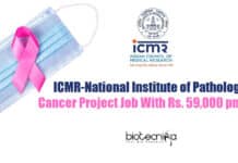 ICMR-National Institute of Pathology Cancer Project Job With Rs. 59,000 pm Pay ICMR NIP Jobs