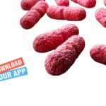 IISER Mohali MSc & BTech Life Sciences Research Fellow Job IISER Mohali Research Fellow