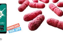 IISER Mohali MSc & BTech Life Sciences Research Fellow Job IISER Mohali Research Fellow