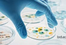 IISER TVM Biotech & Biological Sciences Research Fellow Job Opening IISER TVM