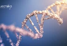 IIT Kanpur Gene Therapy