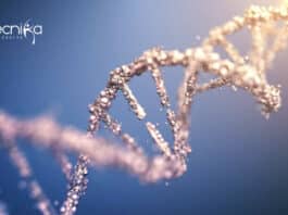 IIT Kanpur Gene Therapy