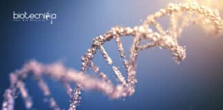 IIT Kanpur Gene Therapy