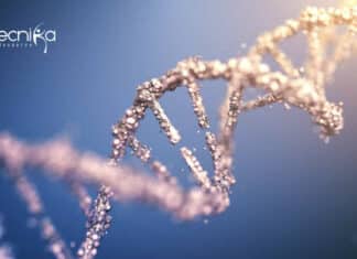 IIT Kanpur Gene Therapy