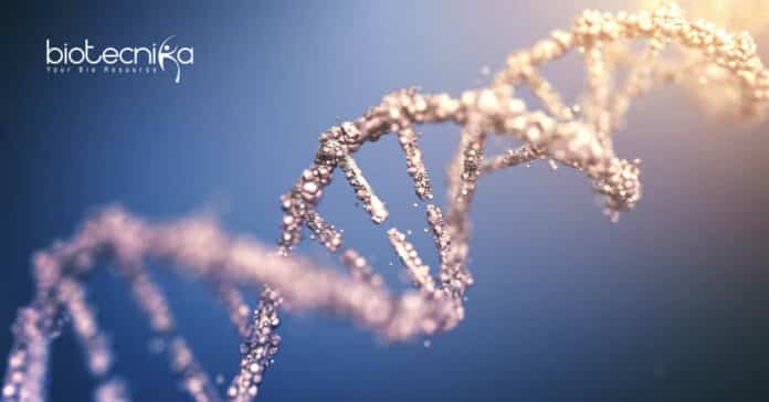 IIT Kanpur Gene Therapy