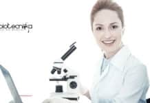 IIT Kanpur Role of Small RNAs Project Recruitment For Life Sciences IIT Kanpur Research Fellow