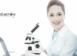 IIT Kanpur Research Fellow