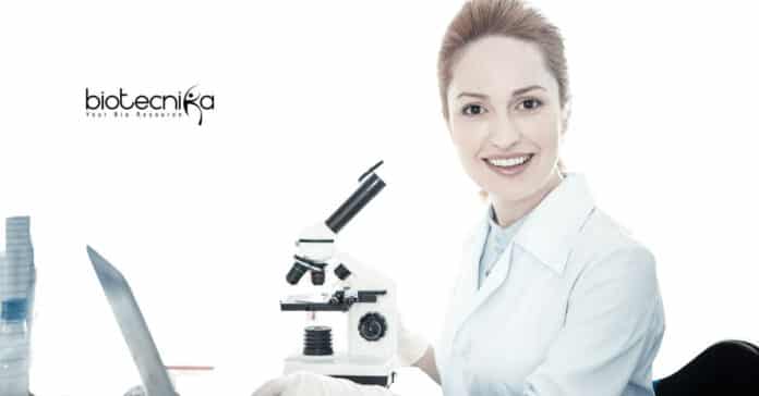  IIT Kanpur Research Fellow