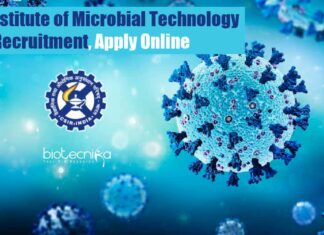 IMTECH Project Job