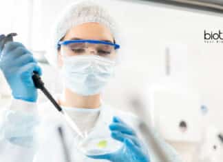 IVRI Research Fellow Vacancy