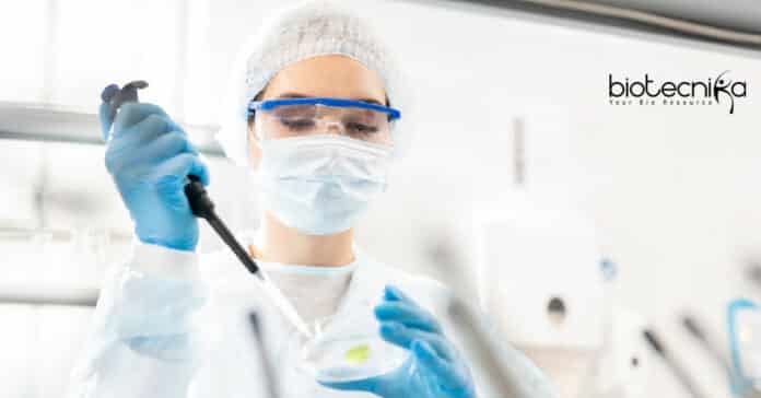 IVRI Research Fellow Vacancy