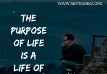 Biotecnika Times – Newsletter 05.08.2021 – CSIR-CDRI Research Job, CNCI Life Sciences JRF