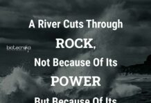 Biotecnika Times Newsletter 17.08.2021 CU-CET 2021 Notification, BHU Entrance 2021