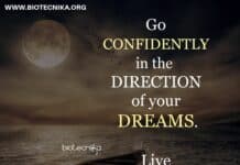 Biotecnika Times Newsletter 24.08.2021 – Hiring Now – NIPER, CSIR-NEERI, NCBS, AIIMS