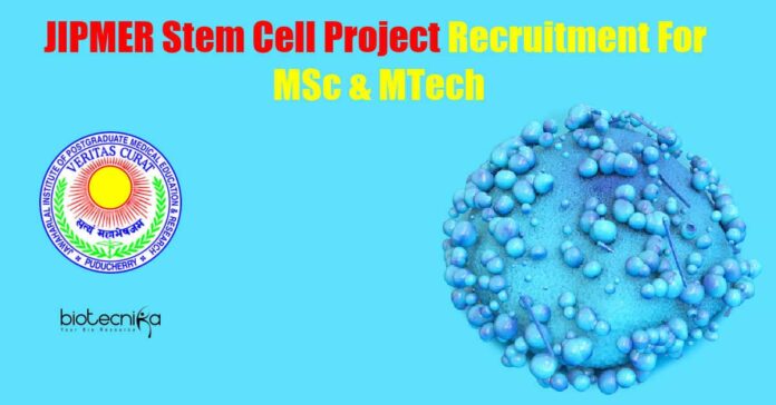JIPMER Stem Cell Project