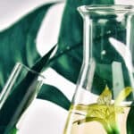 KFRI Research & Project