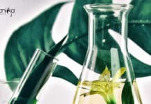 KFRI Research & Project Fellow Recruitment, Applications Invited KFRI Research & Project