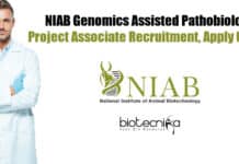 NIAB Genomics Assisted Pathobiology Project Associate Recruitment, Apply Online NIAB Associate Vacancy