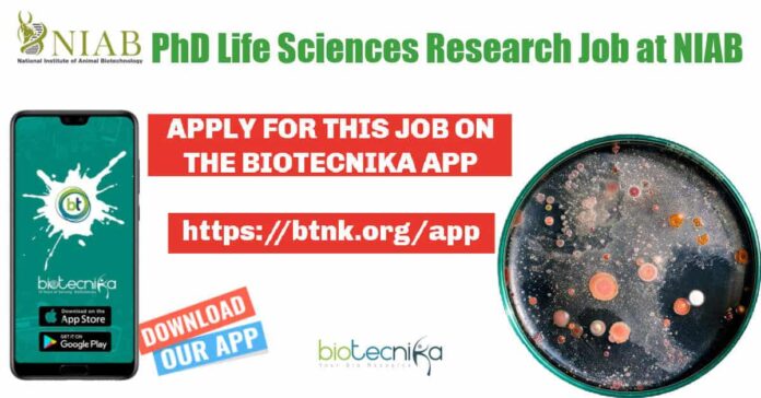 NIAB Research Associate Job