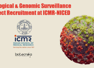NICED Research Assistant Vacancy