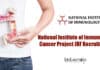 NII Project Jobs