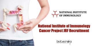 NII Project Jobs