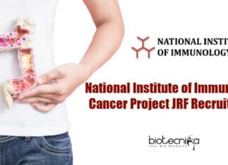 NII Project Jobs