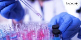 NIO Biotech Job Opening