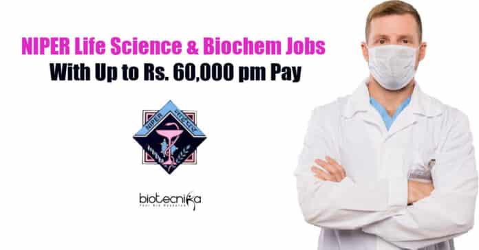 NIPER Ahmedabad Jobs
