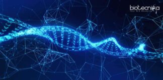 NIPGR Bioinformatics & Life