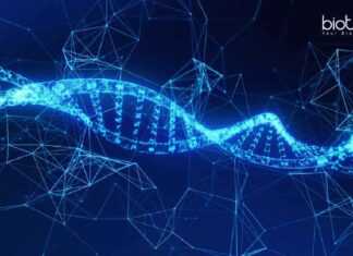 NIPGR Bioinformatics & Life