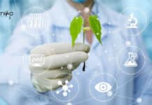 NIPGR Life Sciences/ Biotechnology/Biochemistry Research Fellow Job NIPGR Life Sciences