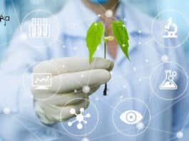 NIPGR Life Sciences/ Biotechnology/Biochemistry Research Fellow Job NIPGR Life Sciences