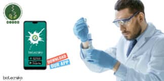 NIPGR Research Fellow &