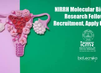 NIRRH Mol Bio Jobs