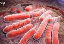 ICMR-NIRRH Latent Tuberculosis Research Project Recruitment, Apply Online NIRRH Research Assistant Vacancy