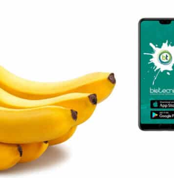 NRCB Young Professional Job