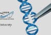 CRISPR-Cas Project Assistant Job For Biological Sciences at IISER TVM, Apply Online Project Assistant Job For