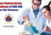 Project Student Intern
