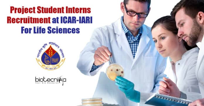 Project Student Intern
