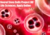 RGCB Neural Stem Cells Project JRF For Life Sciences, Apply Online RGCB JRF Project Job
