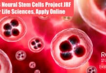 RGCB JRF Project Job